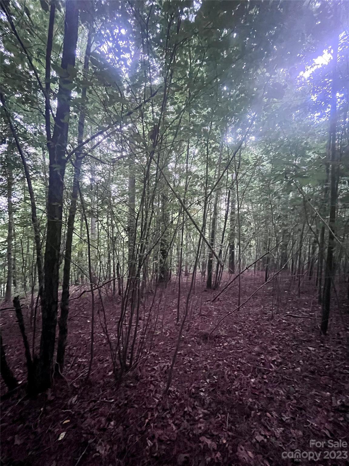 Clearwater Creek - Land