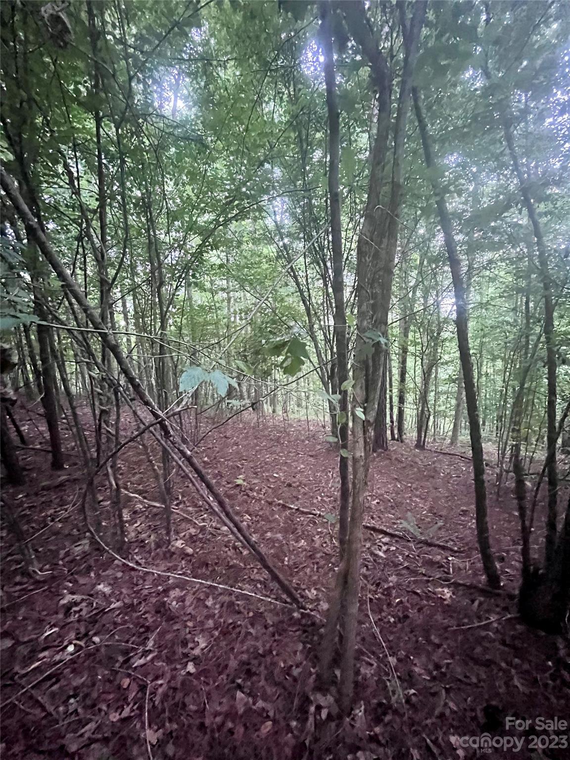 Clearwater Creek - Land