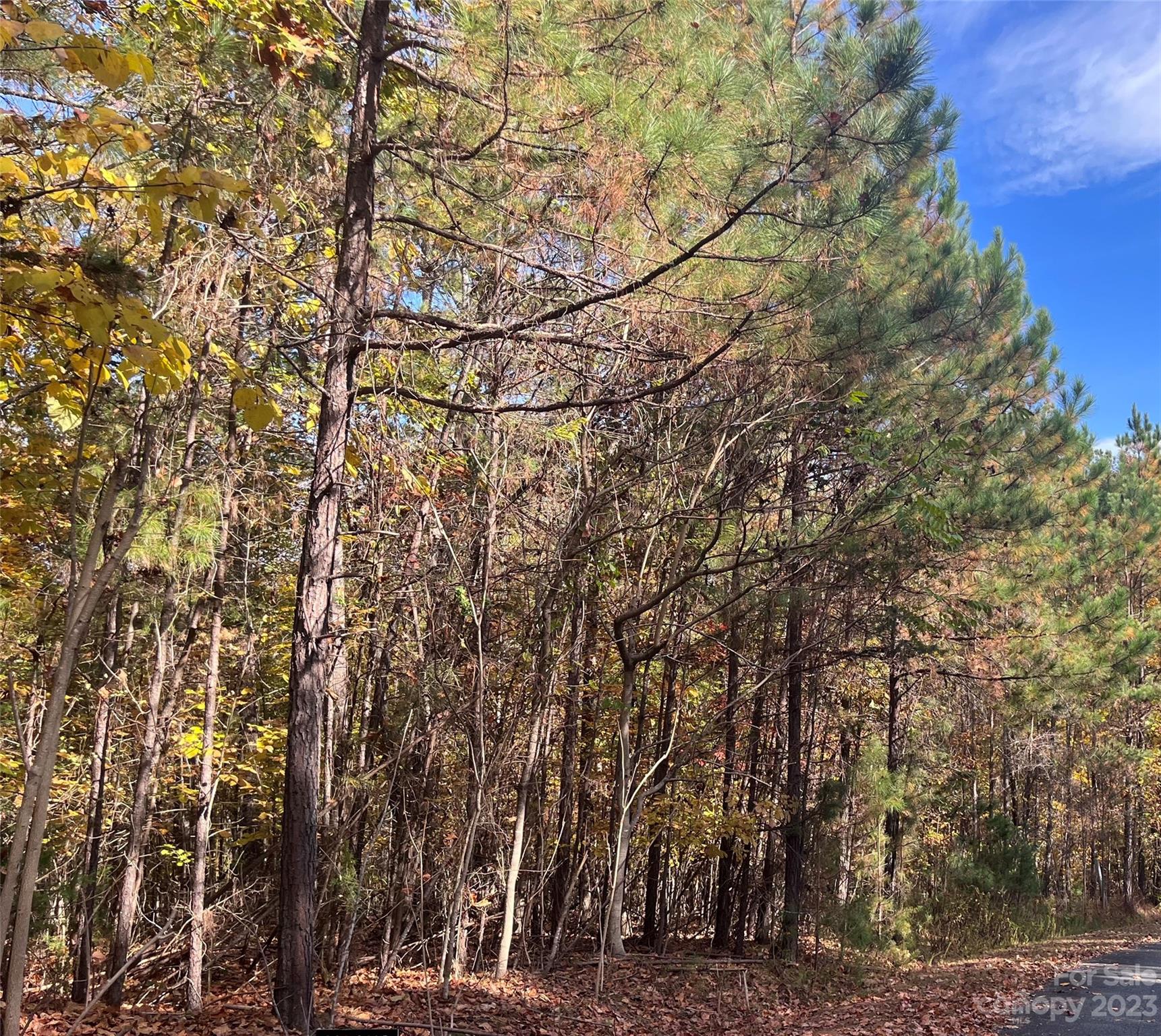 Clearwater Creek - Land