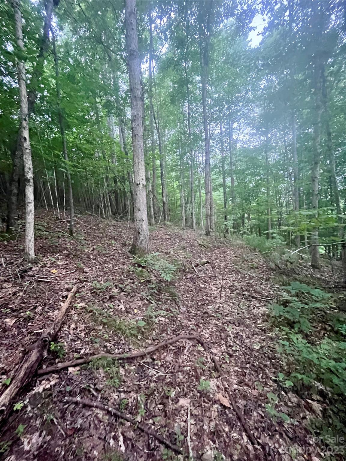 Clearwater Creek - Land