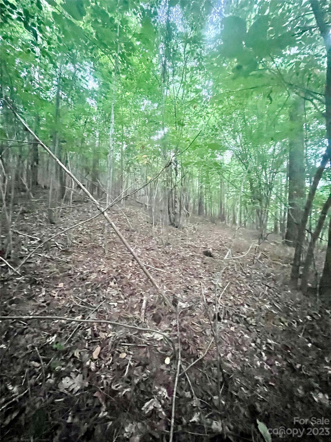 Clearwater Creek - Land