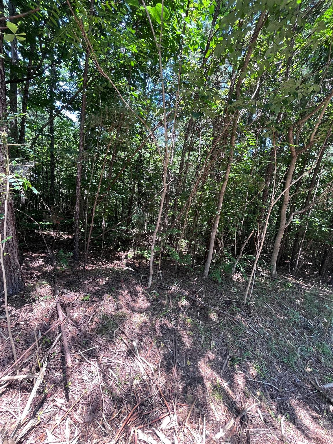 Clearwater Creek - Land