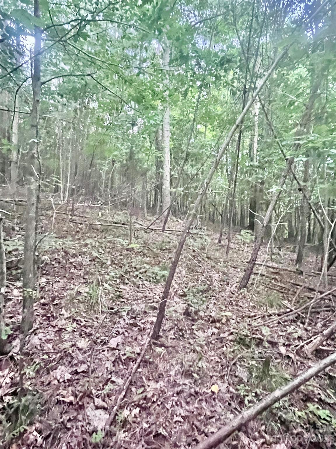 Clearwater Creek - Land