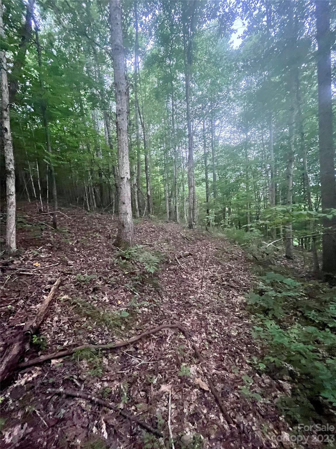 Clearwater Creek - Land