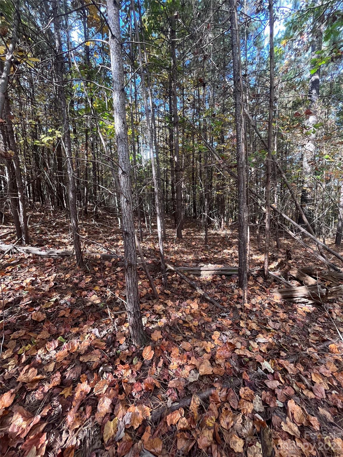 Clearwater Creek - Land