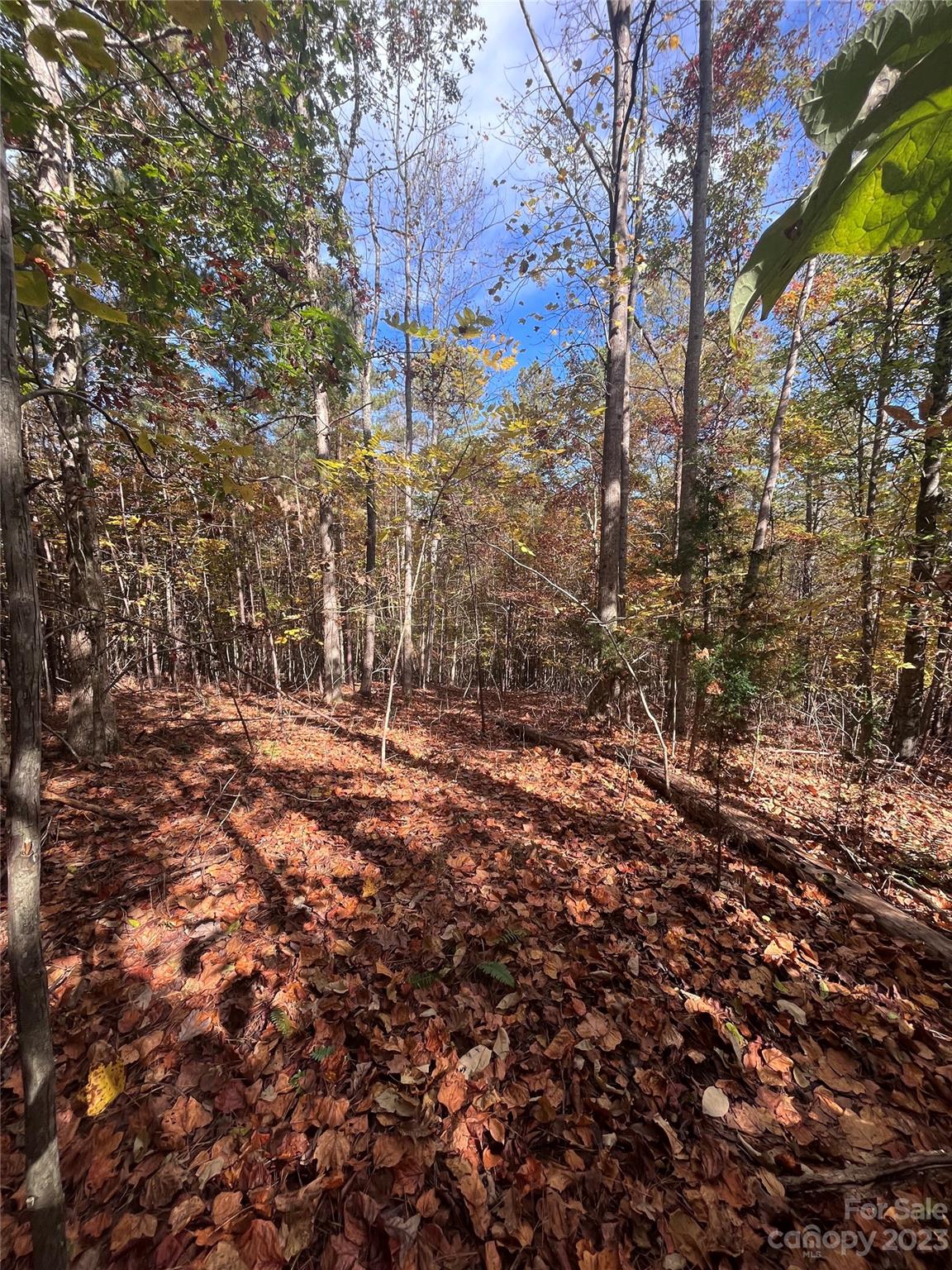 Clearwater Creek - Land