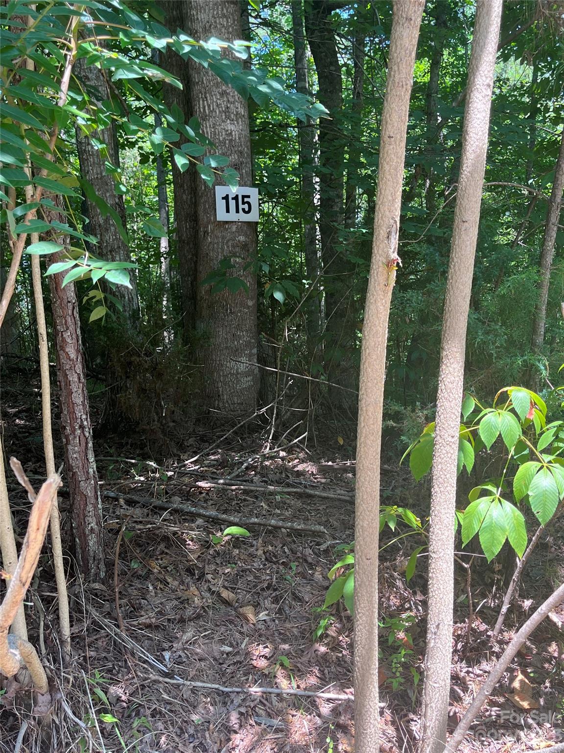 Clearwater Creek - Land