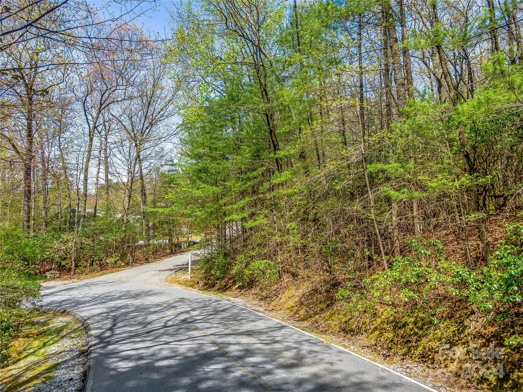 Lake Toxaway Estates - Land