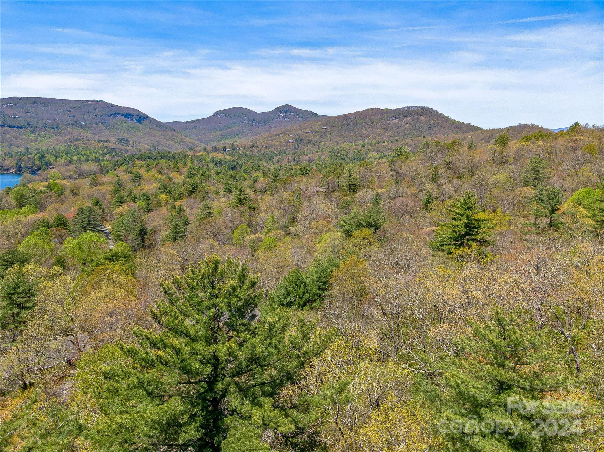 Lake Toxaway Estates - Land