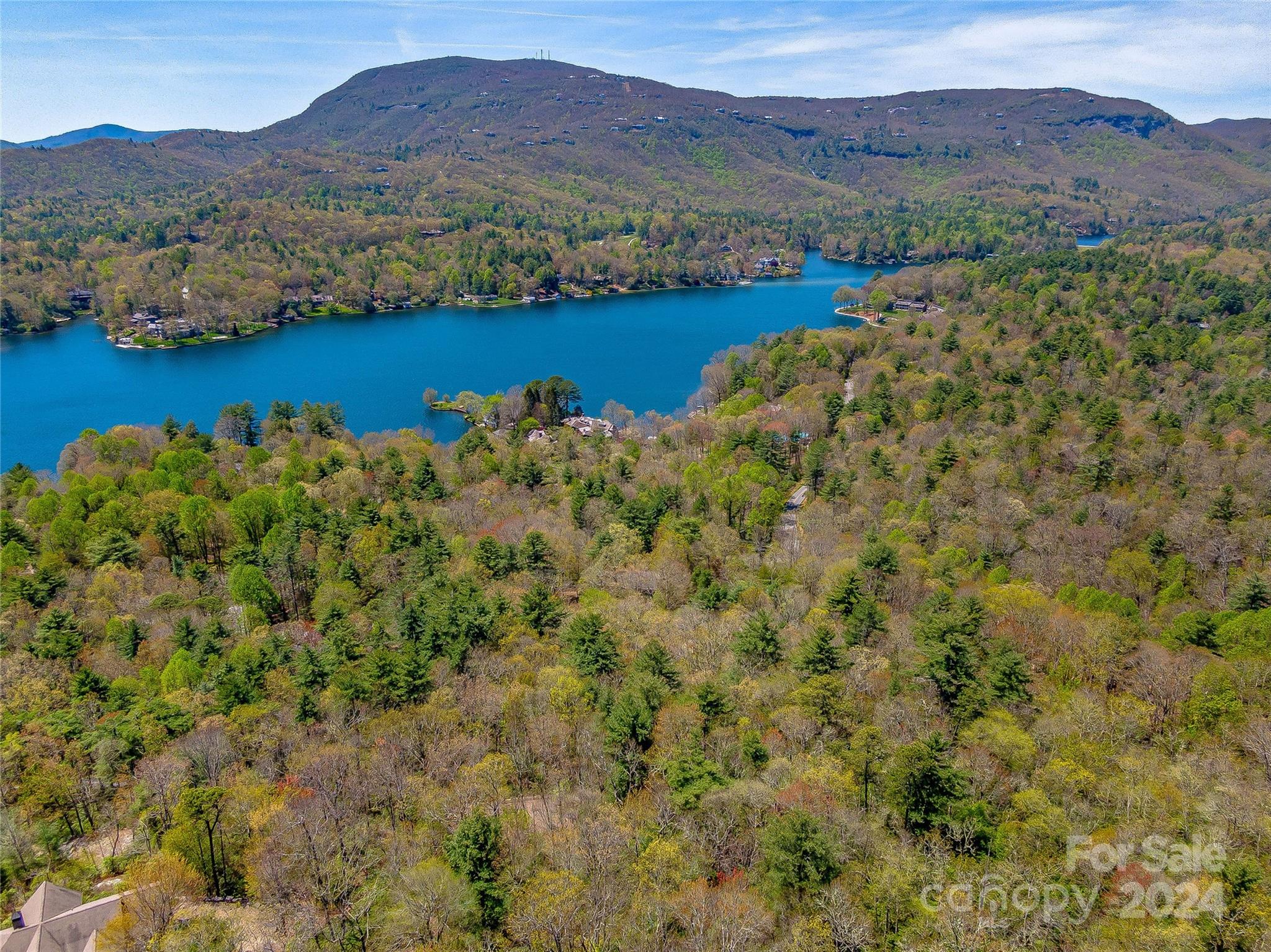 Lake Toxaway Estates - Land