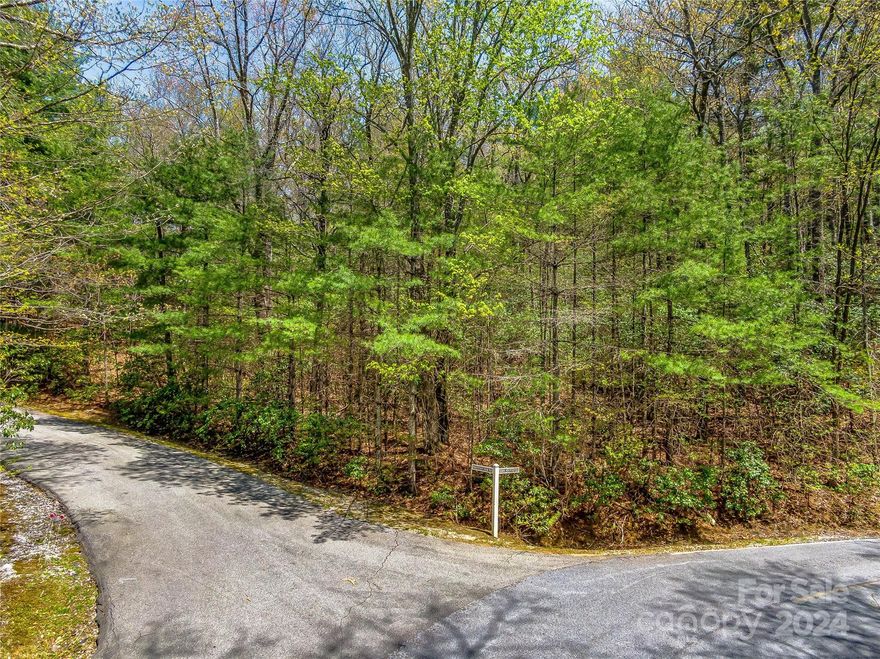 Beautiful, large private lot in the quiet Hawk Mountain neighborhood. Follow the easily walkable, cleared path to the high point of the property where you have a window on Toxaway Mountain. The gentle slope of the land makes for an easy build. Perfect topography for a walk-out lower level. Full access to Lake Toxaway. Easy rides to the Club and the dynamic town of Brevard with its restaurants, breweries, and arts opportunities. Permitted for a 4 bedroom septic in 1998, now expired. And what a price! Lake Toxaway Estates is western North Carolina's premier residential community surrounding North Carolina's largest private lake. And at the top, breathtaking, layered mountain views. Lake Toxaway Country Club (based on availability and application) boasts an award-winning clubhouse, a celebrated 18 hole golf course as well as the picturesque Greystone Inn.