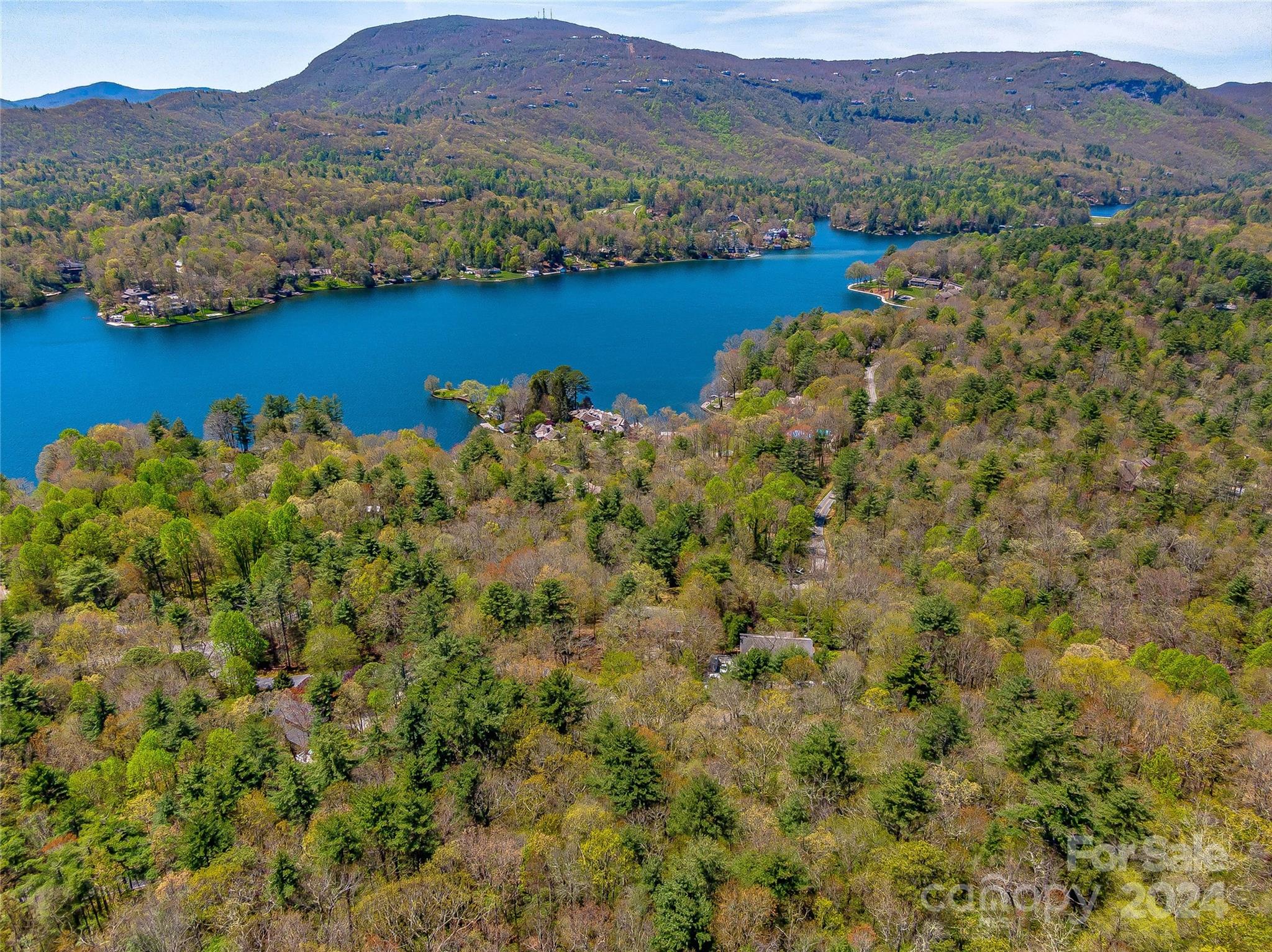Lake Toxaway Estates - Land