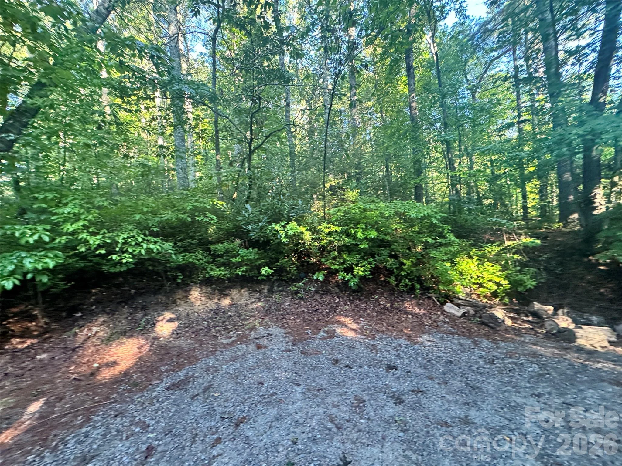 000 Sugar Creek Drive, Cedar Mountain, NC, 28718