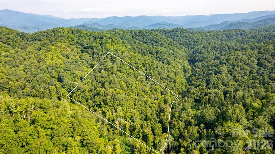 Back on the market with new lower price! Lot 7 out of 20 recently surveyed parcels. 10.24 UNRESTRICTED acres of natural beauty conveniently located 15 miles from Downtown Blowing Rock and all of it's amenities! With its mountain views, babbling brooks and tranquil atmosphere, this property offers the perfect escape from city life. Embrace the chance to create your own haven amidst the natural splendor of this property. This hidden gem is a true sanctuary, offering a retreat from the digital world allowing you to fully disconnect and enjoy the serenity of your surroundings. Follow the AWD/4WD road (or walk) right to the property line. Property lines are marked. 13 miles from Brown Mountain OHV 34 mile trail system! The only OHV area in Pisgah National Forest. Spectrum cable! Recent road improvements! Call listing agent before driving to property for more information.