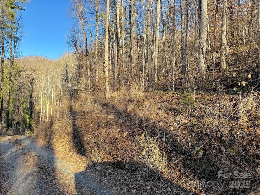 Discover nearly 26 private, wooded acres tucked away off Timberside Drive in beautiful Mars Hill, NC. This unrestricted mountain property offers endless opportunities — whether you’re dreaming of a private estate, a mountain getaway, or simply your own natural retreat. Enjoy the peace and seclusion of nature while being just 10 minutes to I-26 and about 30 minutes to downtown Asheville. The land features rolling terrain with a mix of hardwoods and potential build sites surrounded by forested beauty. With no HOA or deed restrictions, you have the freedom to create your ideal mountain lifestyle — build, hunt, hike, or just unwind in complete privacy.