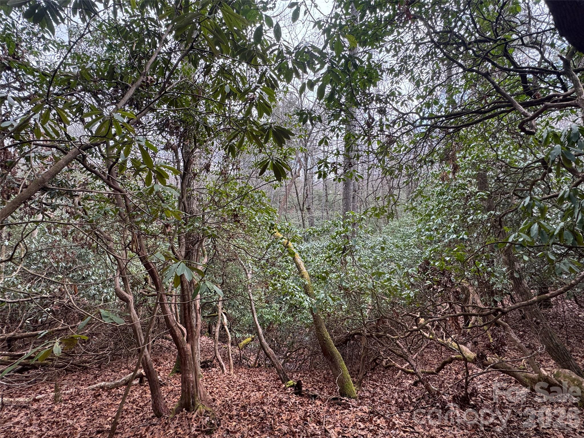 000 Falls Creek Court