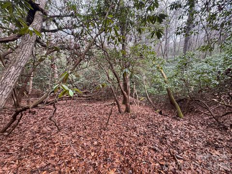 000 Falls Creek Court Pisgah Forest NC 28768