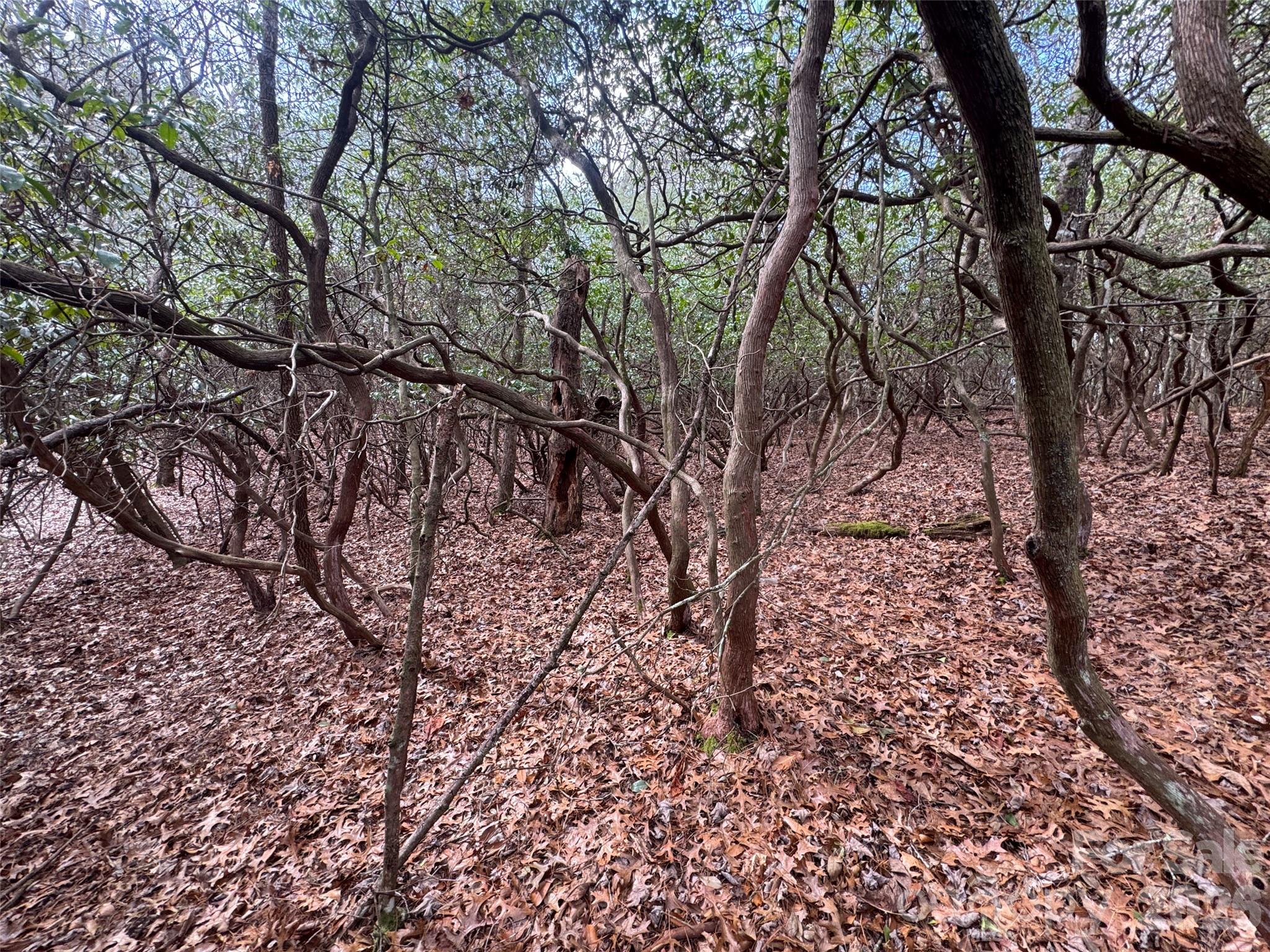 000 Falls Creek Court