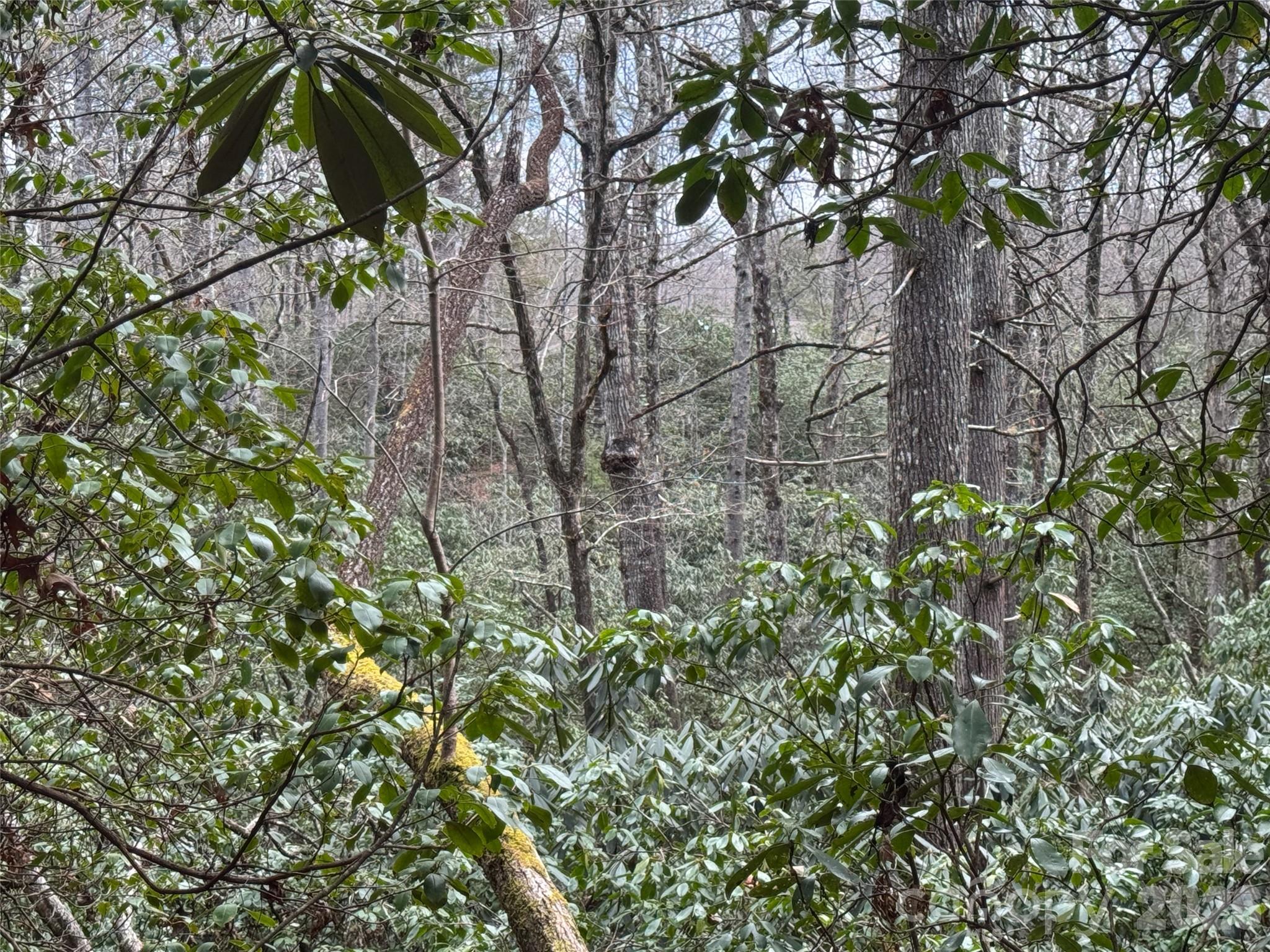 000 Falls Creek Court