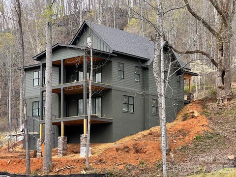 51 Bear Tree Cove Canton NC 28716