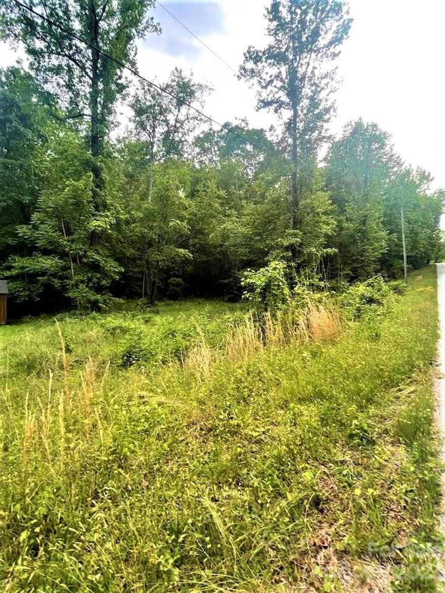 This 3.35 ac lot on Dug Hill Rd is a stones throw from Lake Lanier, a small private lake located in Greenville Co., between the charming towns of Tryon, NC & Landrum, SC. Also conveying is a .051 ac parcel on the lake. Built in 1925, Lake Lanier is ~130 ac mountain lake with 6 miles of shoreline, summer cottages, boathouses & year-round homes. Residents enjoy boating, kayaking, paddle boarding, canoeing, water skiing, swimming & fishing. The Lake Lanier Civic Association (LLCA) is a voluntary organization, (not an HOA) and allows property owners with lake frontage/lake access rights, to purchase a gate fob, ($75/yr) for access to the boat landing. Follow this link for additional infomation, https://www.lakelaniersc.org/home.
