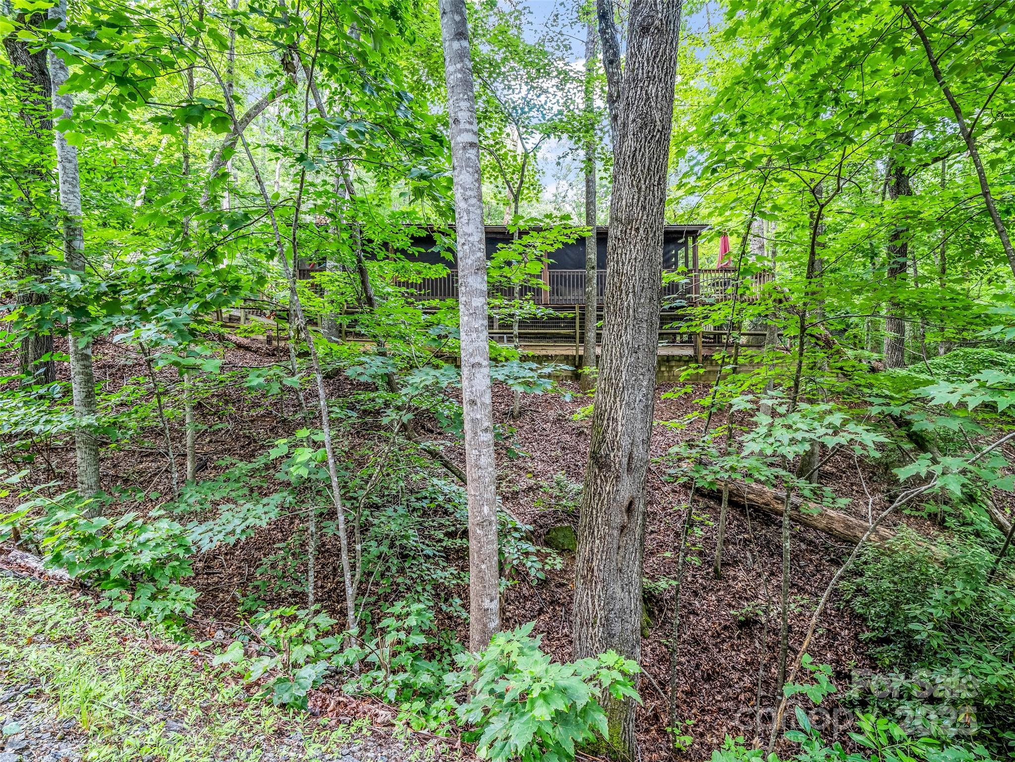 Rumbling Bald on Lake Lure - Residential