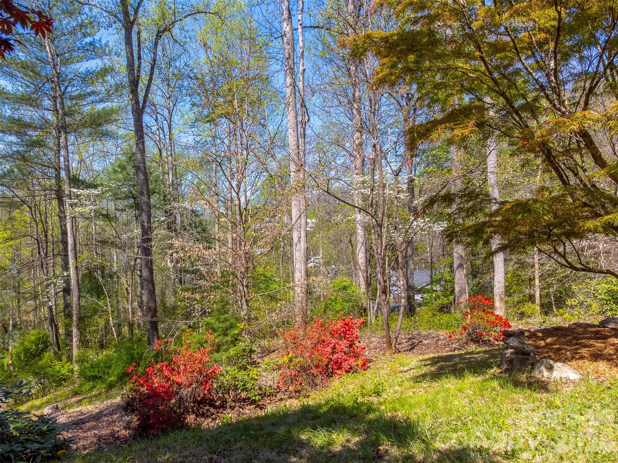 Toy Cove Estates - Residential