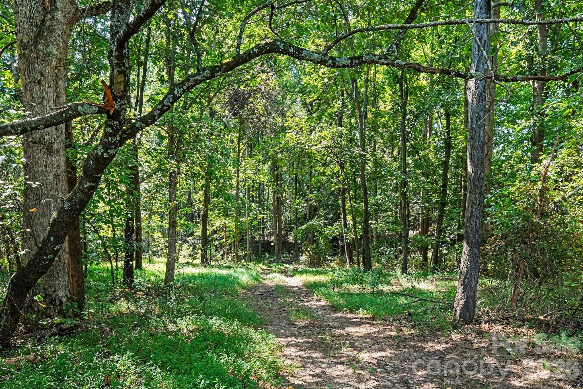 16 Acres Dan Rhyne Road