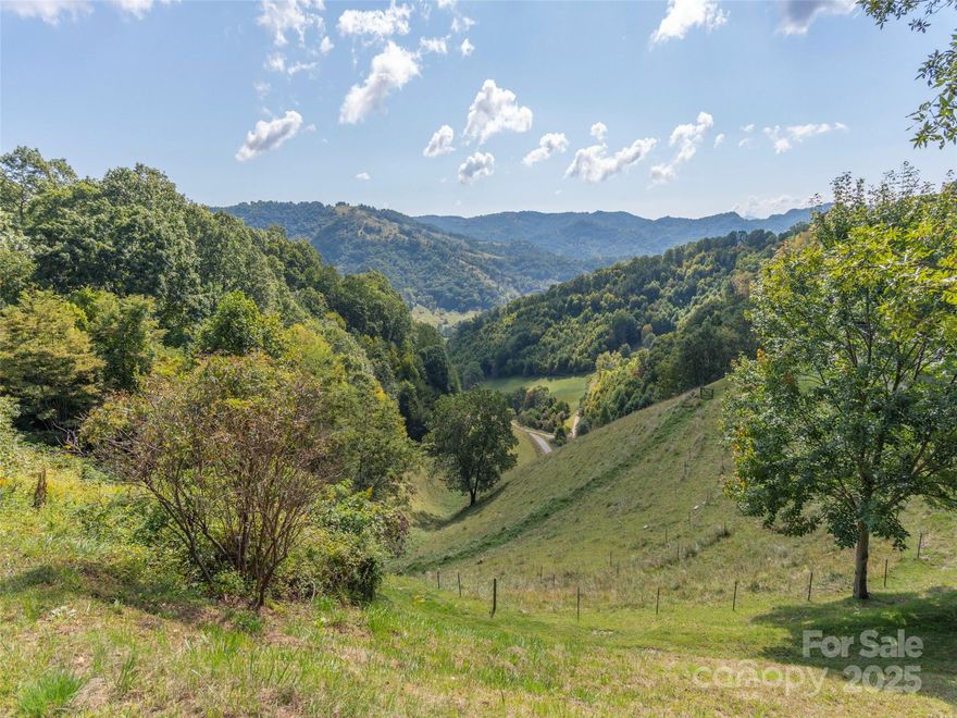 Such a sweet, mountain valley approach. Enjoy the pastoral setting with long range layered mountain views in the beautiful Upper Crabtree/Bald Creek community. Come envision your mountain estate or cabin retreat. Partially fenced for livestock grazing. Cows currently tending to the land under gentleman’s agreement. Access through gated Quest Cove with minor restrictions to protect the value of the property and underground electric. 1200 sq ft on one level 1500 on 2 levels 1000 min on main. Easy Drive to Waynesville, Maggie Valley, Asheville.
