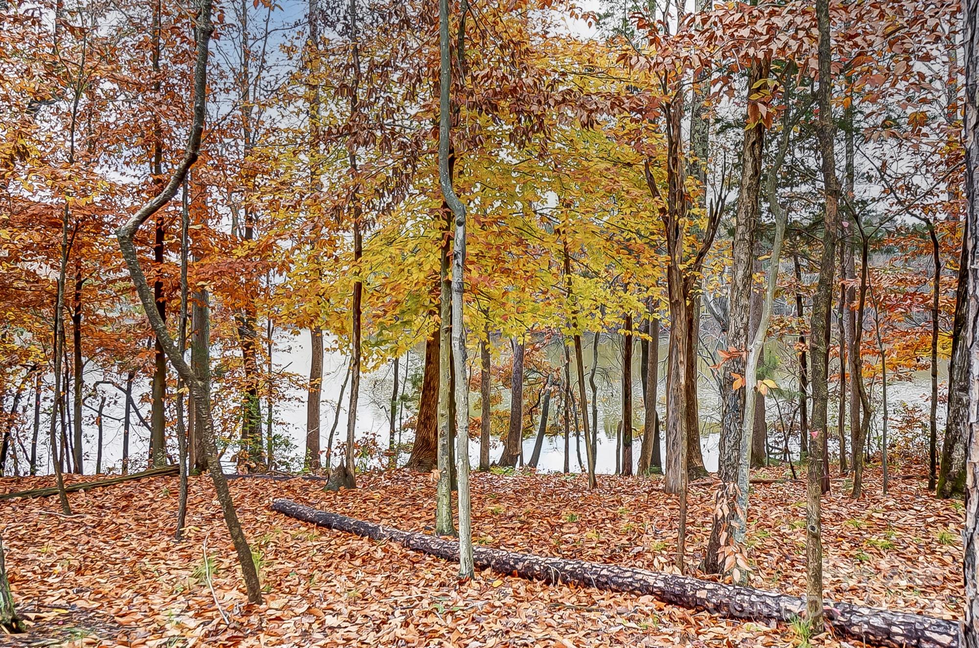 Falls Cove at Lake Norman - Residential