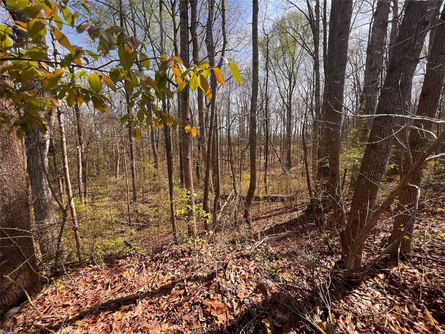 You'll love this 1.725 acre, wooded lot in Pennington Meadows! Desirable, established neighborhood with no HOA dues and located in the county, but easy access to city amenities such as shopping and dining! Septic permit on file for a 3 bedroom conventional system. Perfect location to build your dream home!