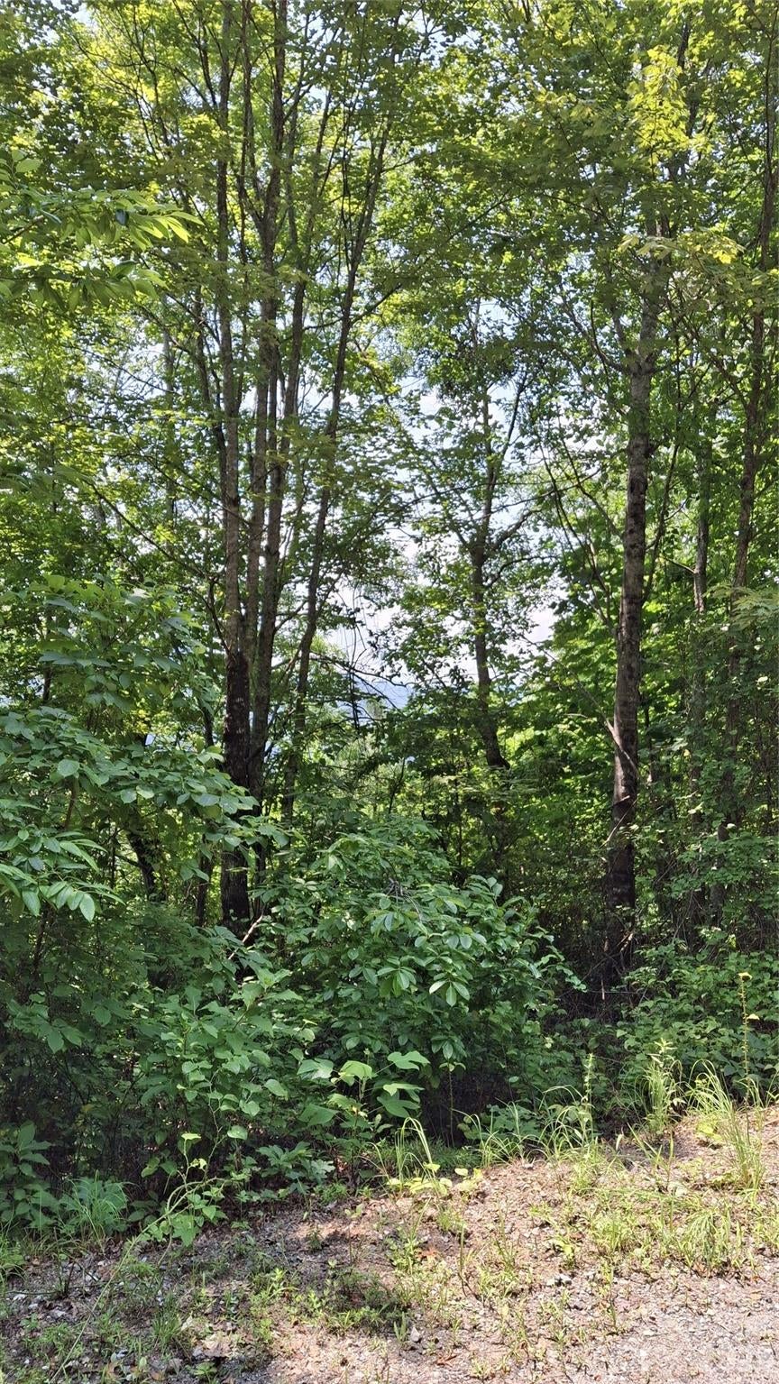 521 Signal Ridge 26