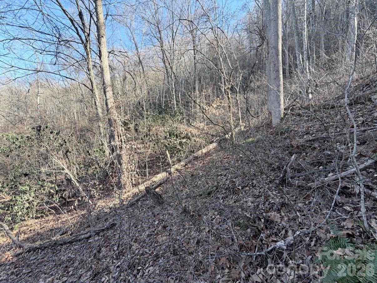 76 View Ridge Parkway 7