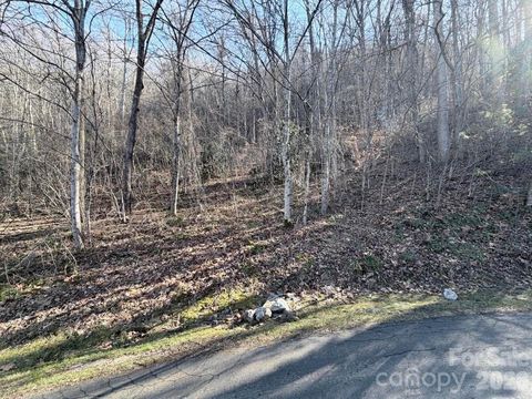 76 View Ridge Parkway 7 Leicester NC 28748