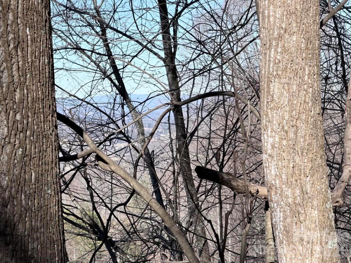 Blue Mist Farms - Land