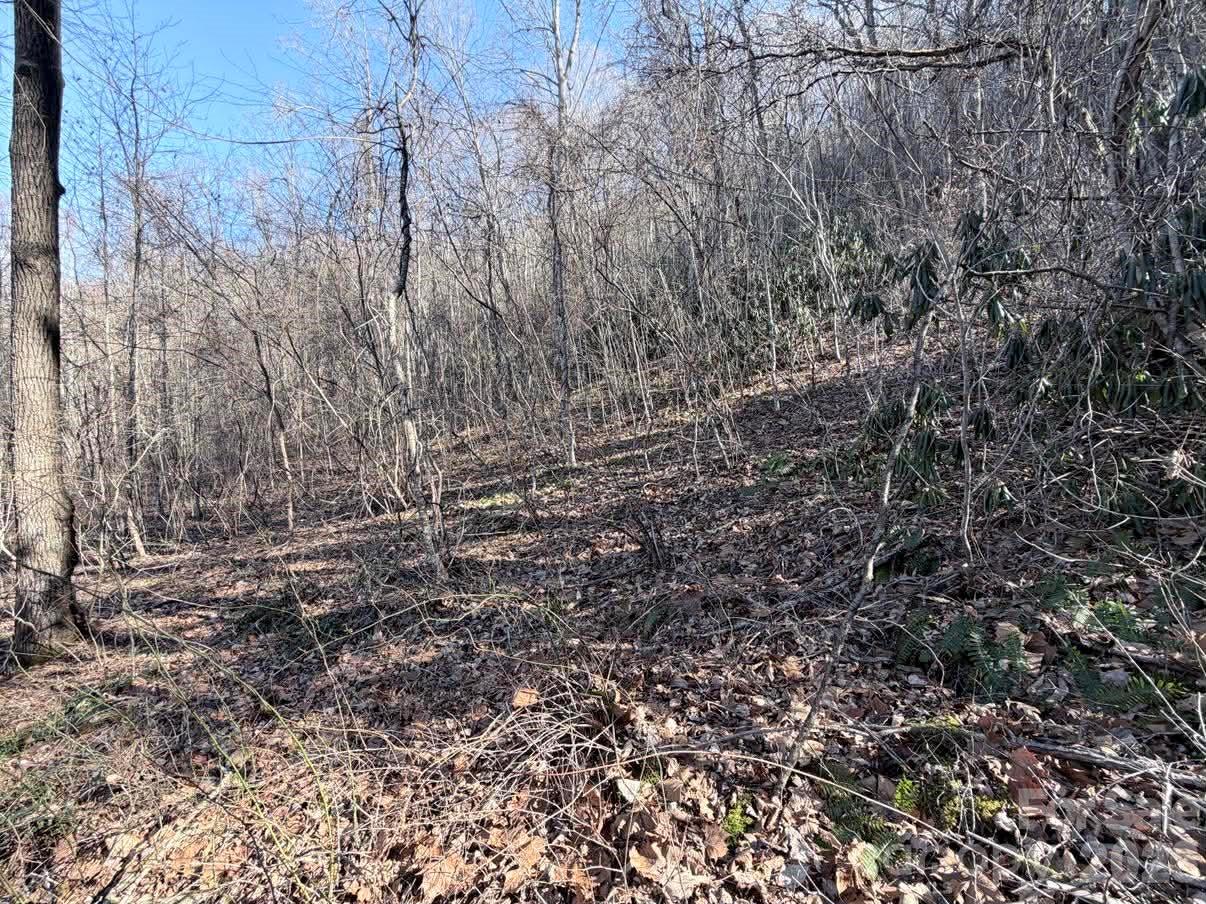 76 View Ridge Parkway 7