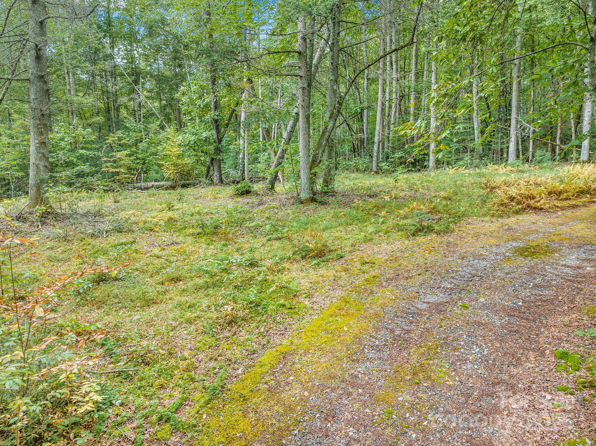 Laurel River Crossing - Land