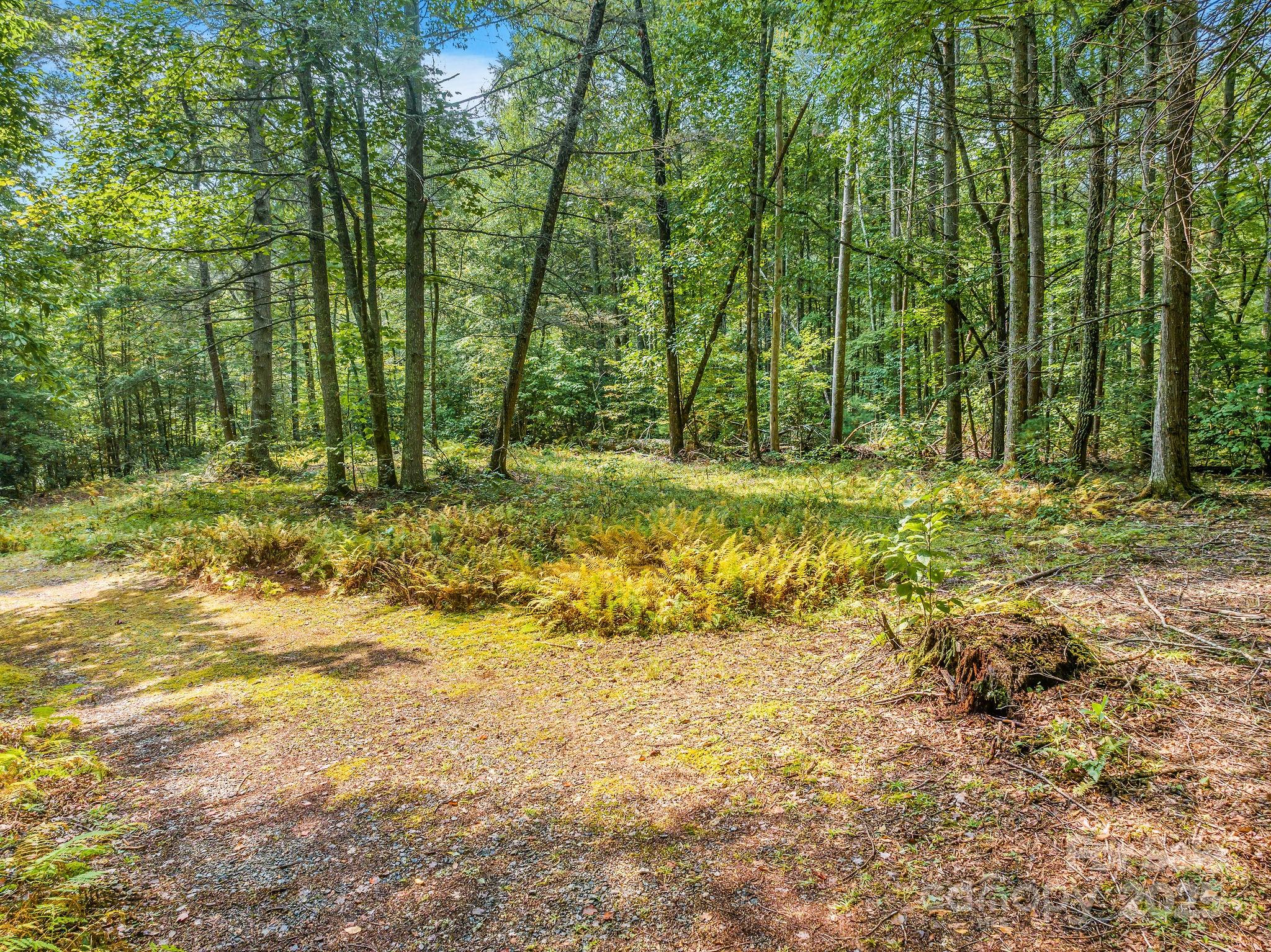 Laurel River Crossing - Land