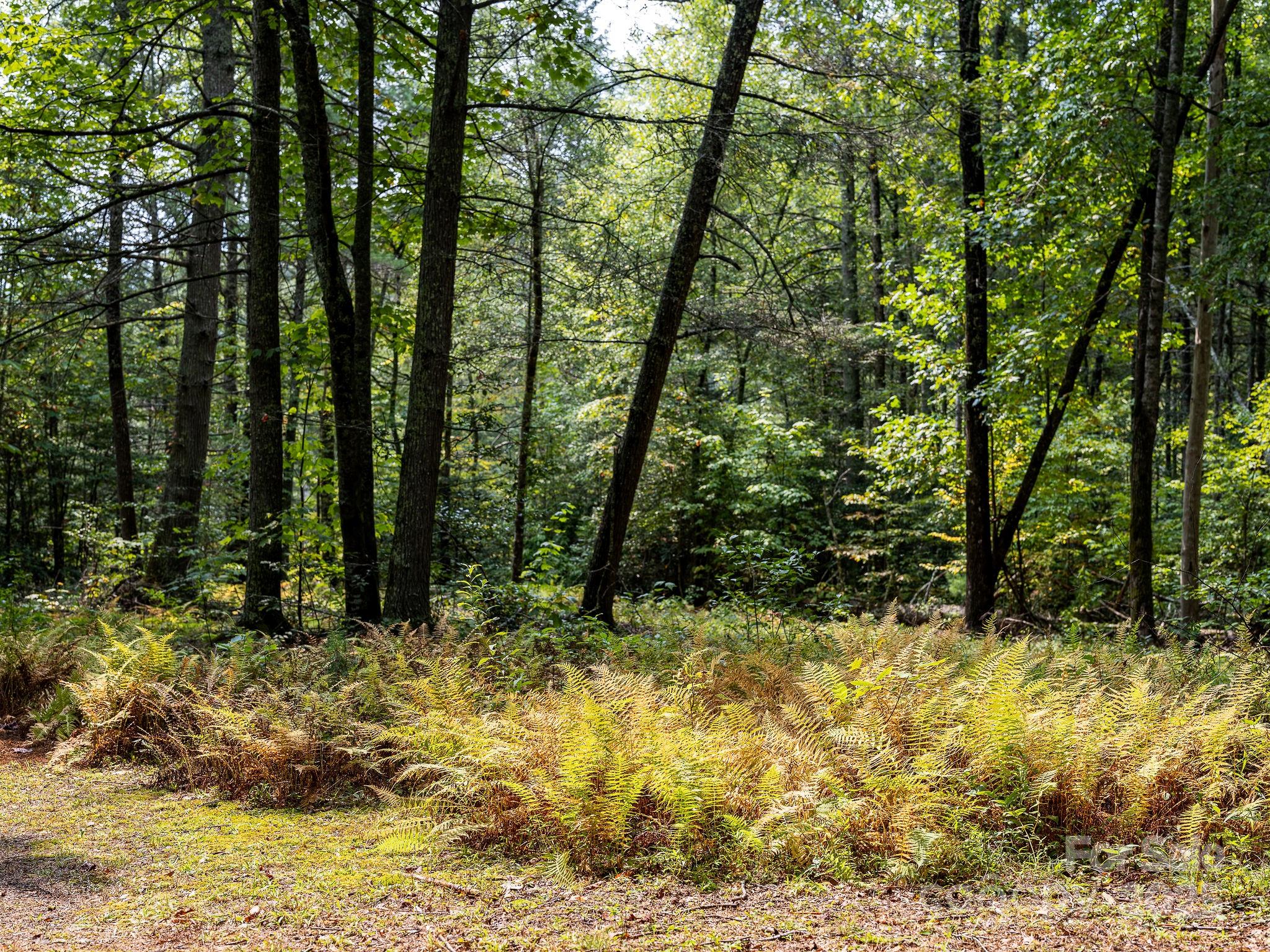 Laurel River Crossing - Land