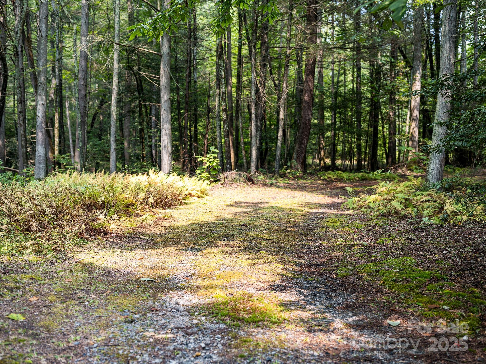 Laurel River Crossing - Land
