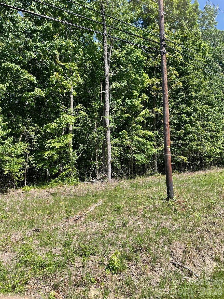 Current zoning is residential for 3 units per acre but rezoning is necessary as the current zoning is impractical. Industrial zoning is on both sides of the property.  Billboard on property yields $2400 per year.  Property is fairly level but elevated from road.