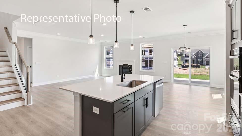 1007 Tundra Swan Drive