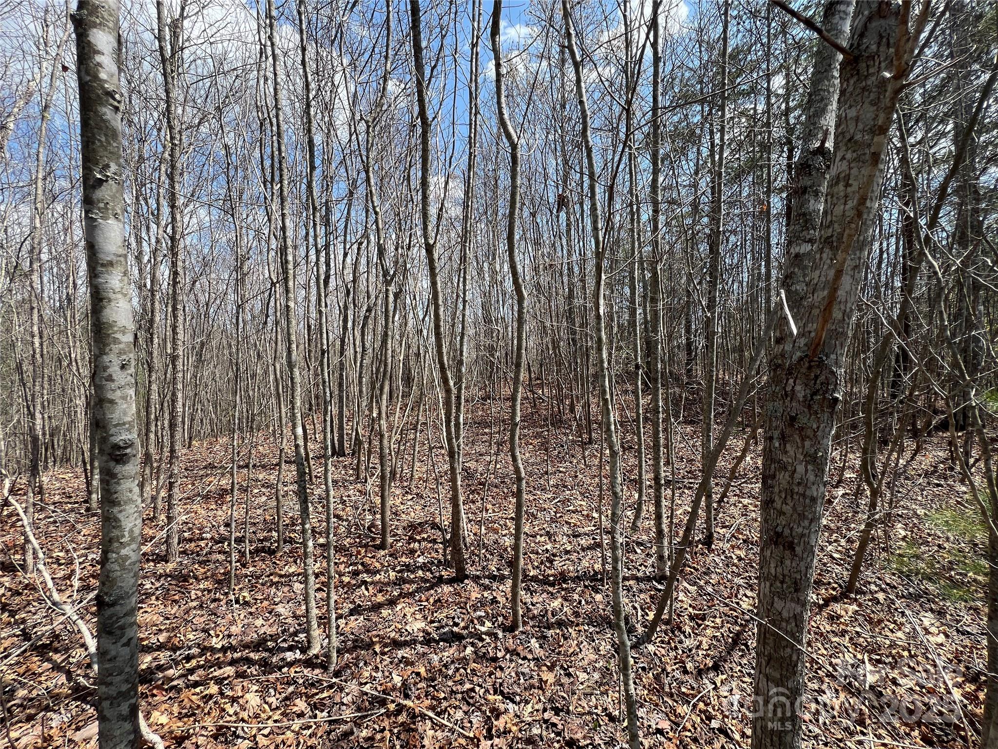 192 Pine Cone Trail 21