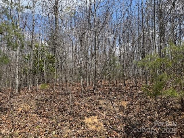 192 Pine Cone Trail 21