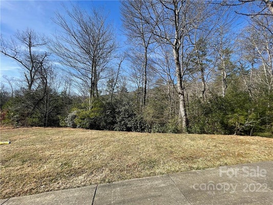 SPRINGHOUSE TRL, BREVARD, NC 28712 - Image 68ce77ebc2fbf3ed587e7bbe76403cc9/4090639543