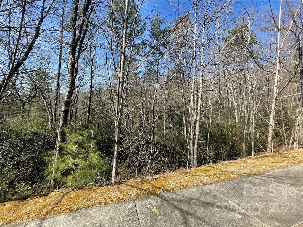 SH11 Springhouse Trail