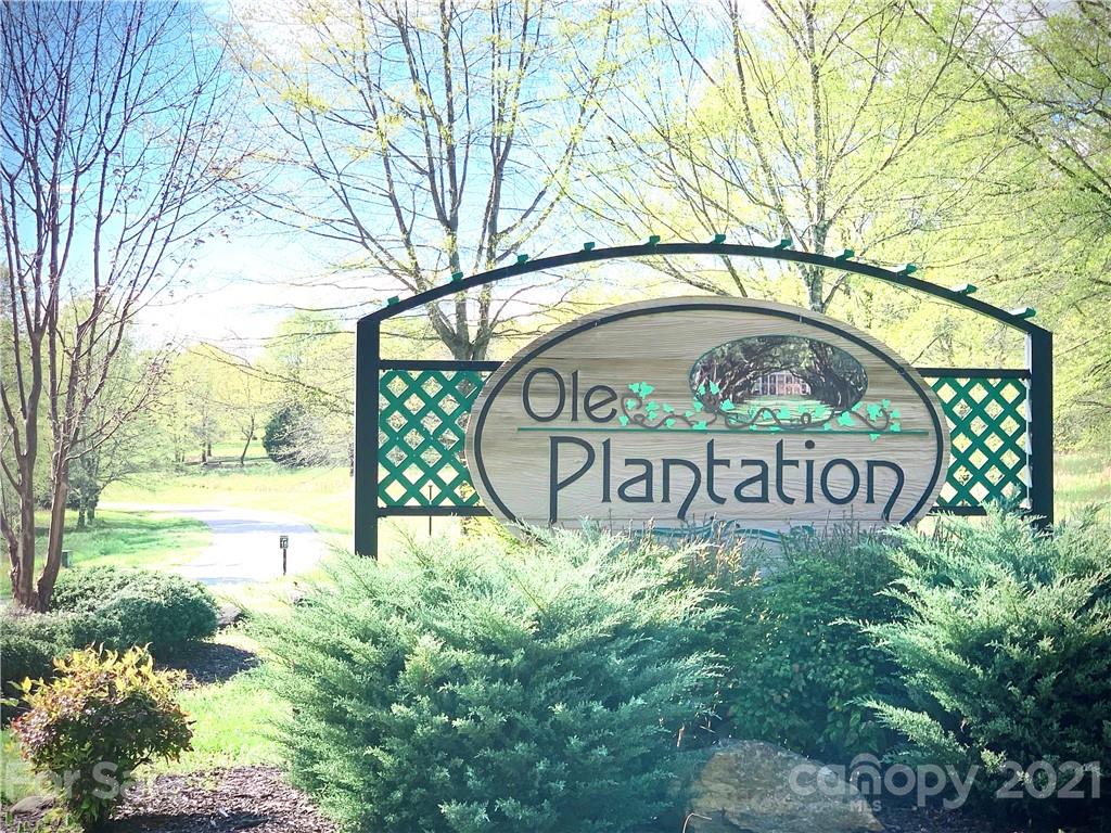 Ole Plantation - Land