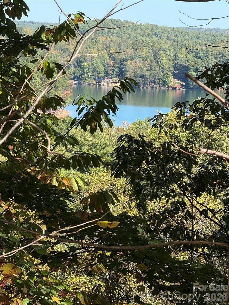 Build your dream home on this .75 acre off water lot with incredible views of Lake James and surrounding mountain range

There is a separate deeded boat slip that can be added for $35,000.  the boat slip is not a part of this lot and has and additional HOA fee of $778