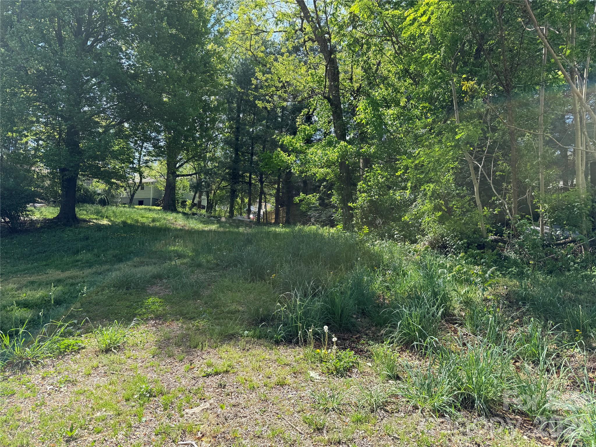 West Asheville - Land