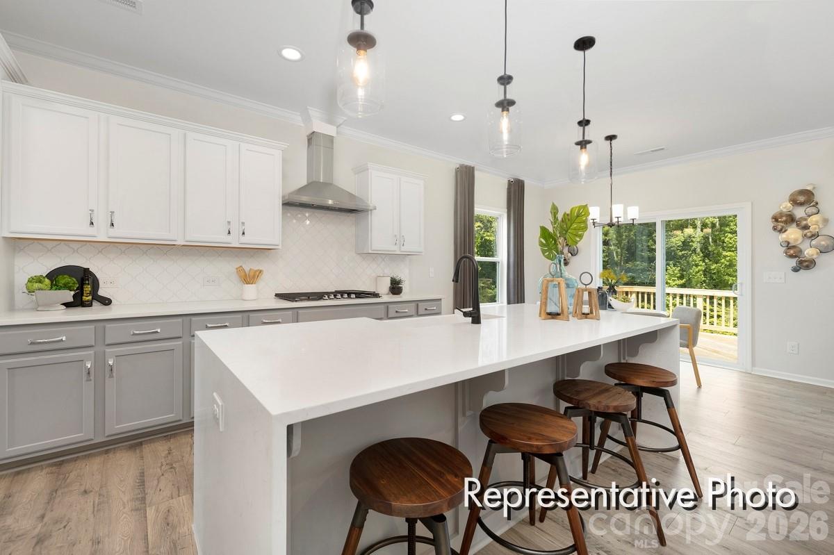 285 Gray Wolf Street 115p